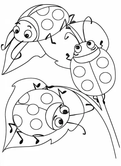 Божья коровка на цветке