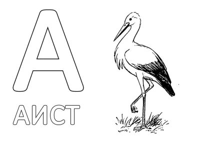 Буква А и аист в траве