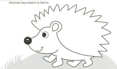 Ёжика