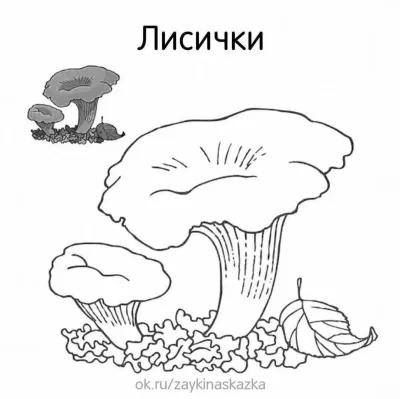 Гриб лисичка