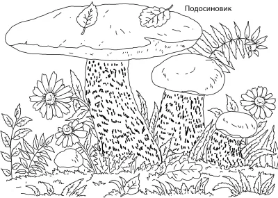 Подосиновик с ромашками и папоротником