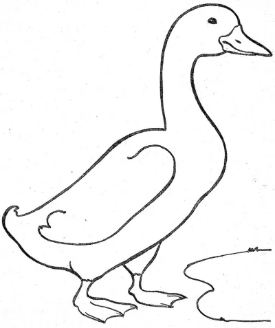 Гусь
