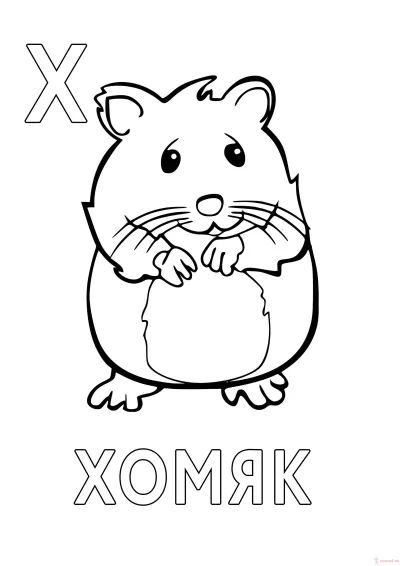 Хомяк лист 15