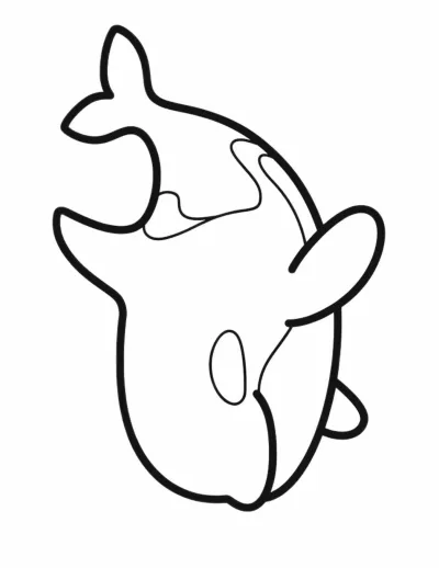 Кит