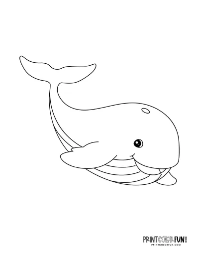 Кит