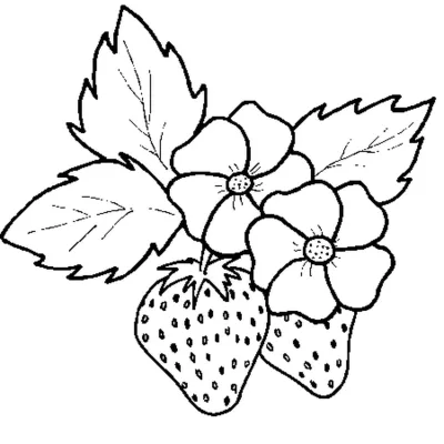 Клубника лист 13