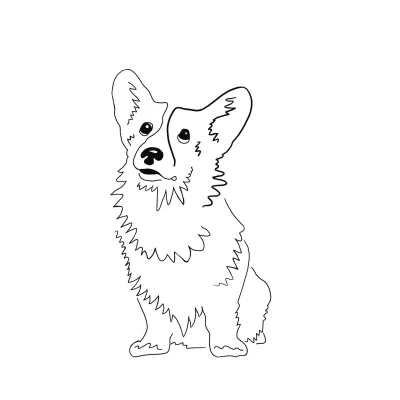 Корги