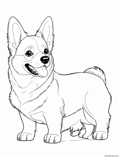 Корги