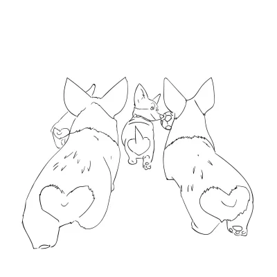 Корги