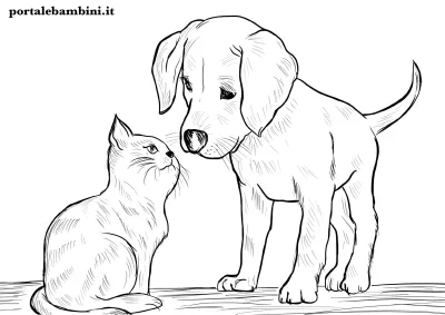 Кошечки собачки