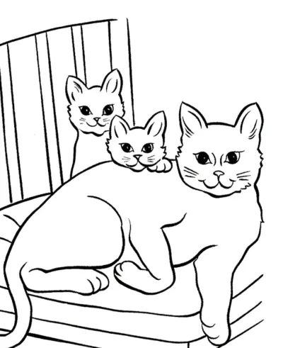 Кошачья семья