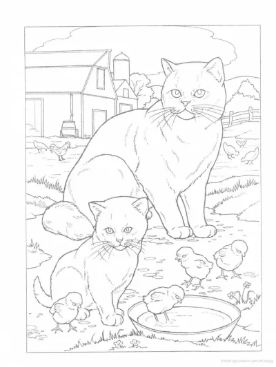 Семья котиков