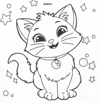 Котенок в ошейнике со звездами