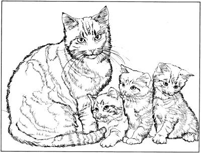 Кошка с тремя котятами