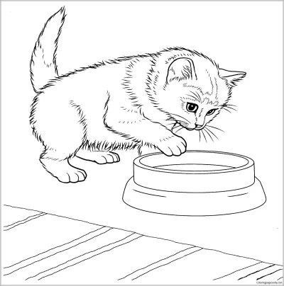 Котёнок