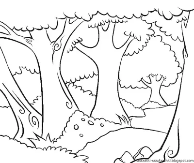 Сказочный лес
