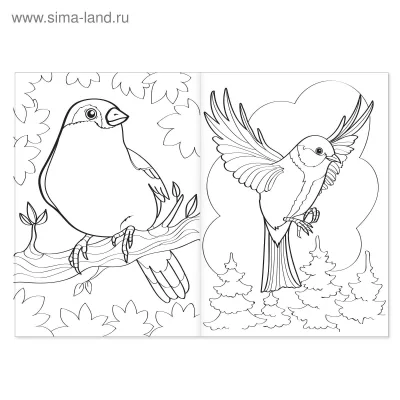 Перелетные птицы