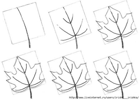 Пошаговое рисование листьев