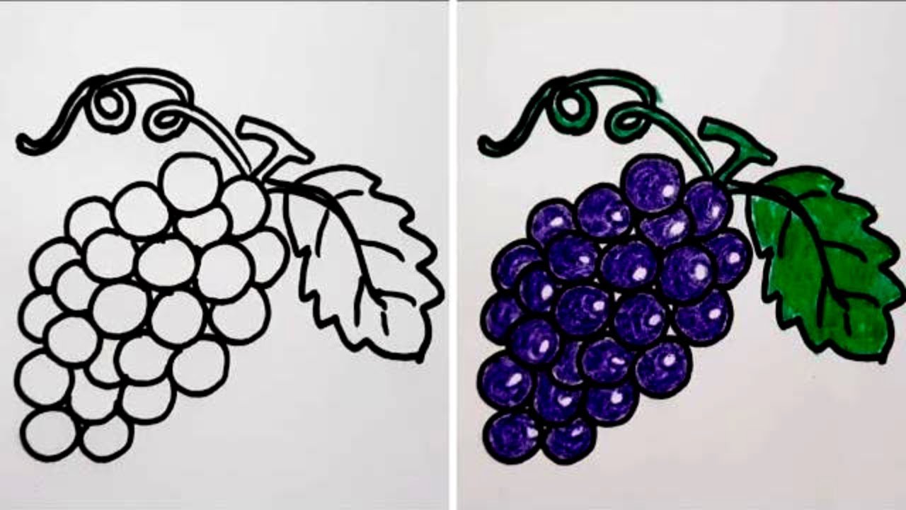 Как нарисовать виноград (49 фото) » Идеи поделок и аппликаций своими руками  - Папикпро.КОМ