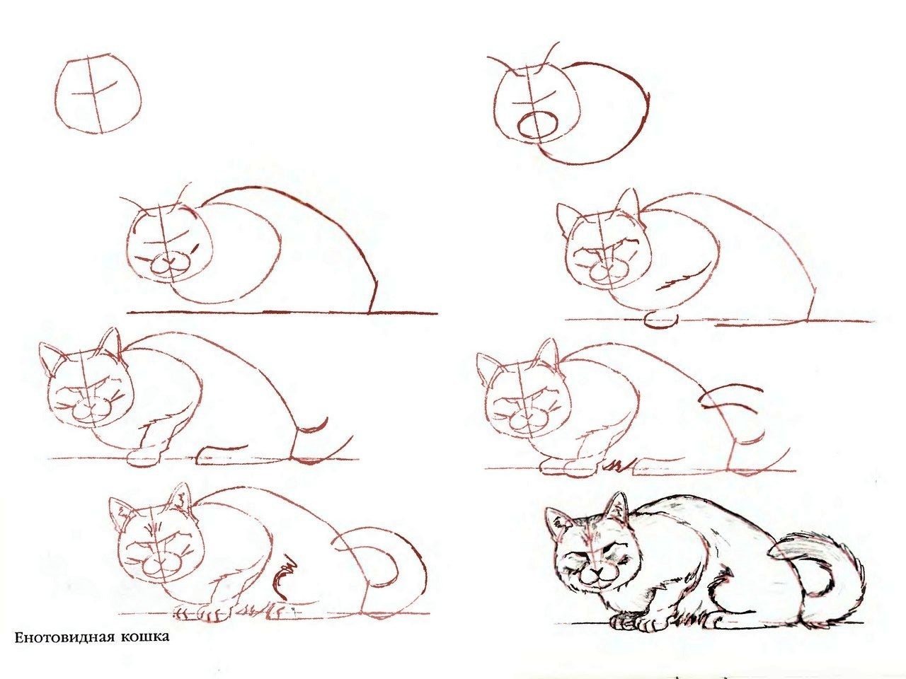 Поэтапное рисование кошки карандашом для начинающих