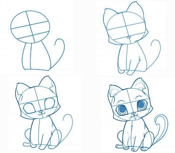 Покажи как нарисовать котика