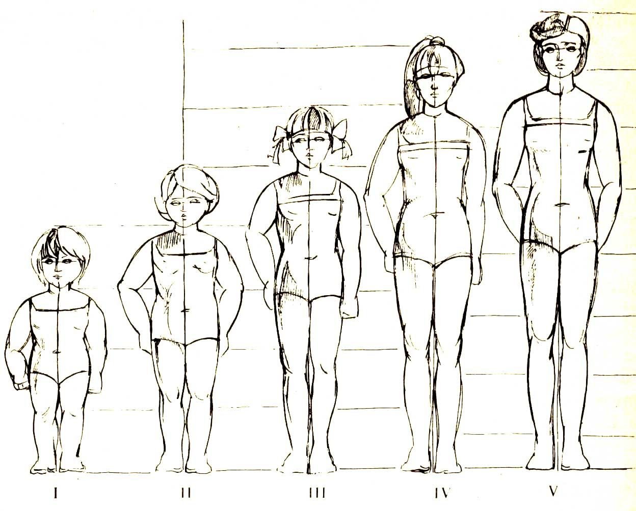 Схема пропорций тела ребенка