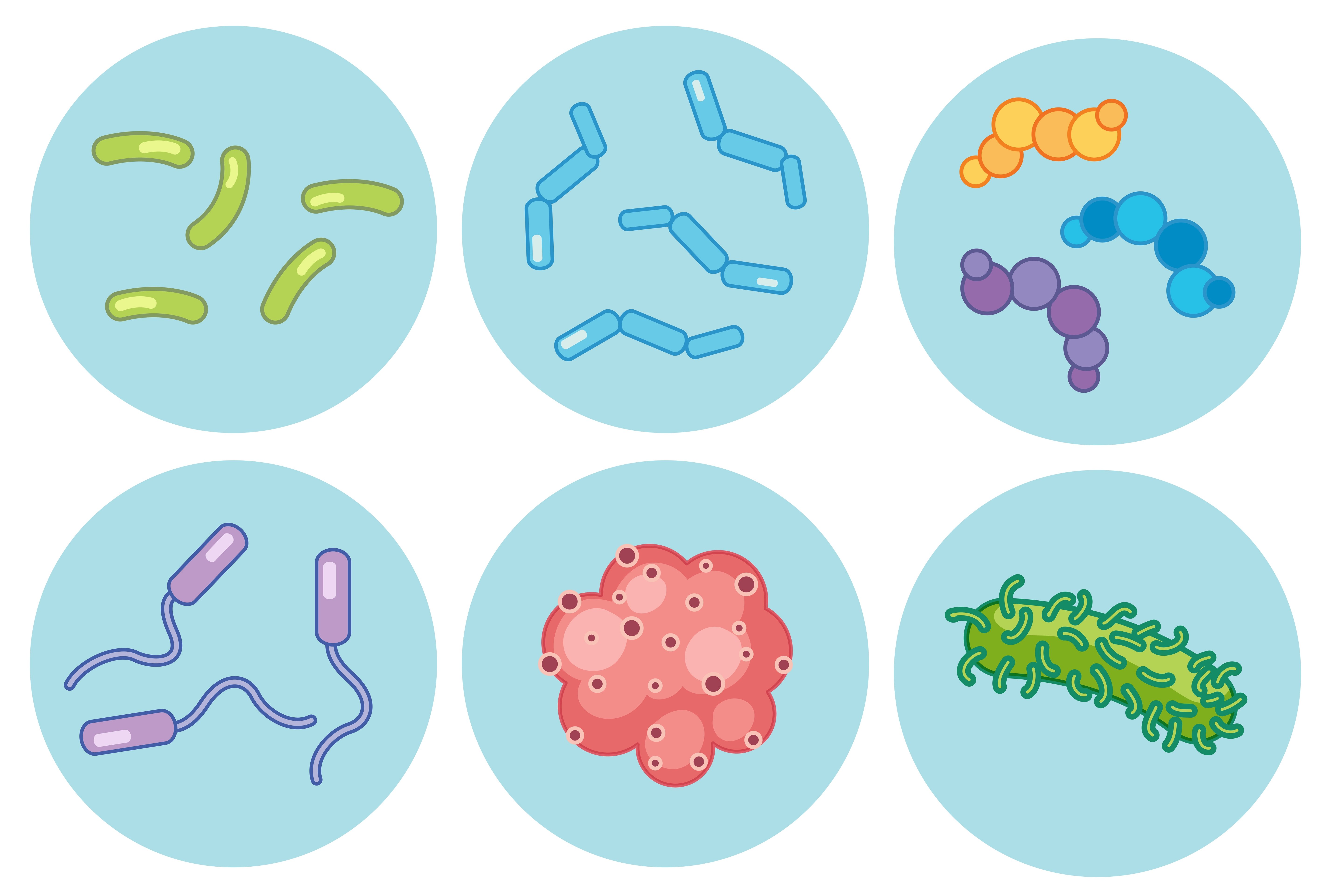 Формы бактерий на белом фоне
