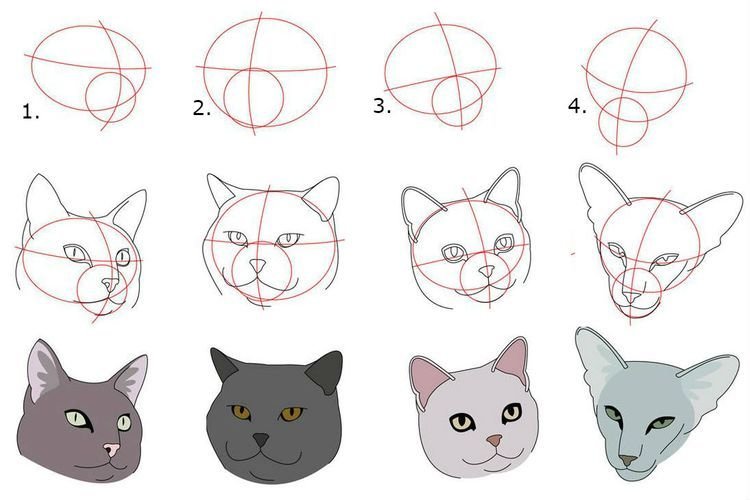 Как надо рисовать кошку