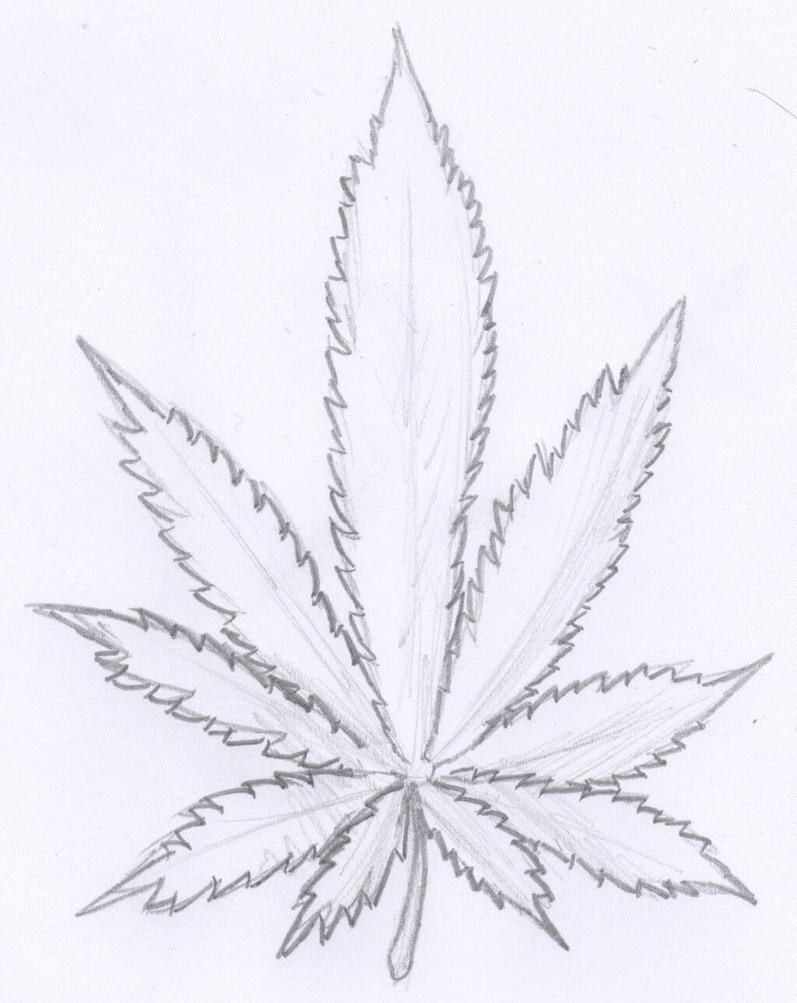 Картинки карандашом конопля курить марихуану раз в неделю