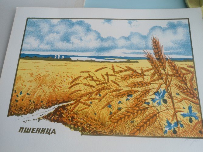 Нарисовать поле с пшеницей