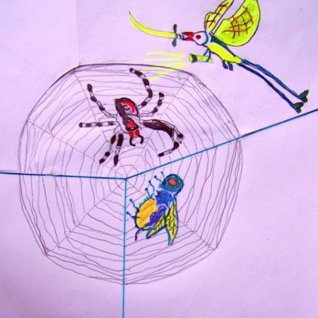 Муха-Цокотуха рисунок карандашом паук
