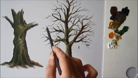 Фактура коры дерева в карандаше