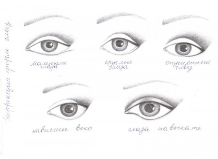 Формы глаз схема