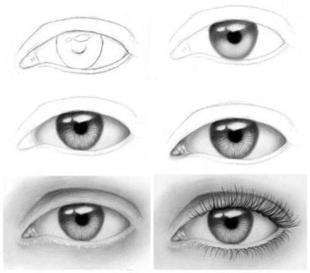 Глаза человека с разных ракурсов