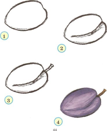 Схема рисования овощей и фруктов
