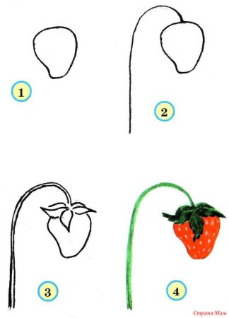 Поэтапное рисование фруктов для детей